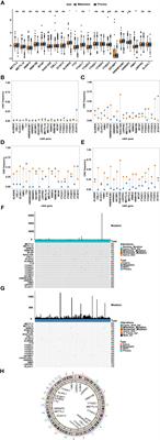 Molecular Characterization and Clinical Relevance of N6-Methyladenosine Regulators in Metastatic Prostate Cancer